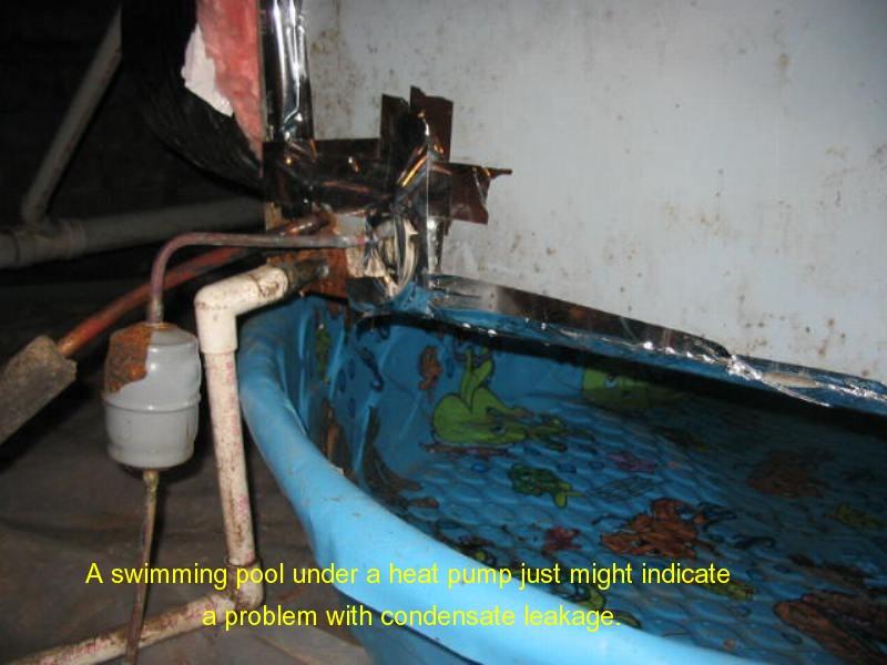 Todd King Home Inspections crawlspace inspection photo 27