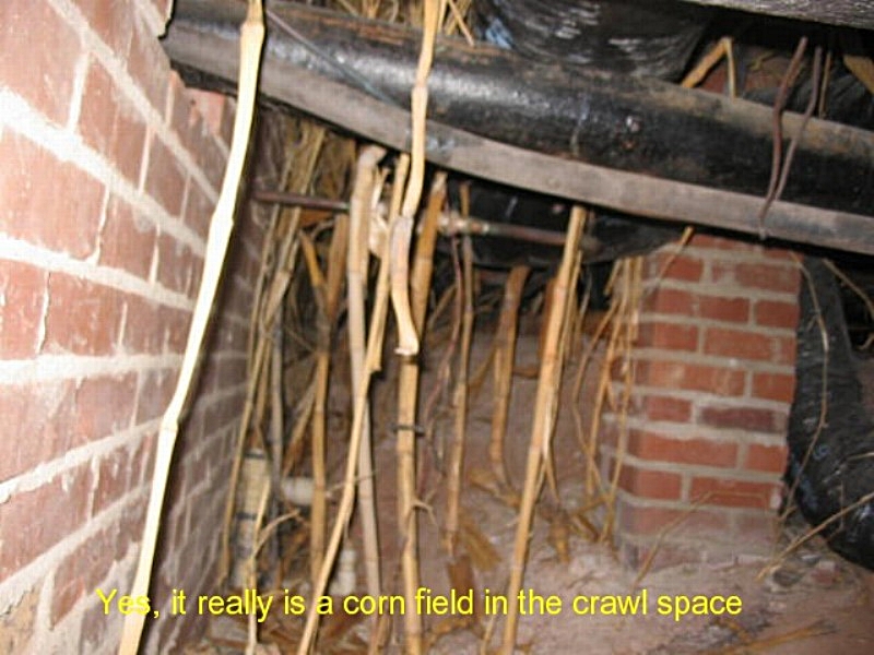 Todd King Home Inspections home inspection photo 4